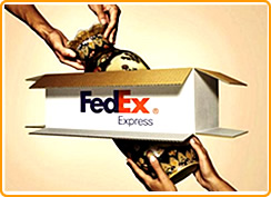 FEDEX